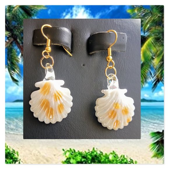 Shells - Picture 1 of 1